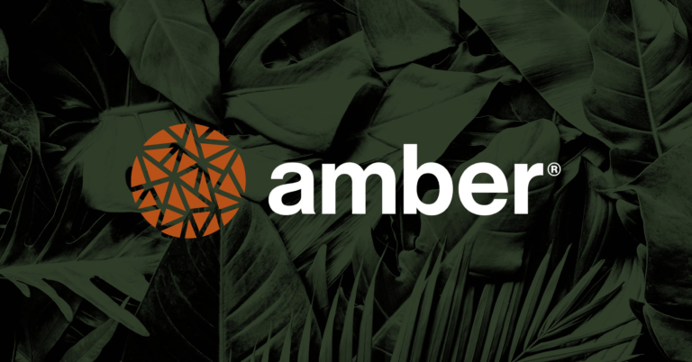 A leaf background and the Amber logo.