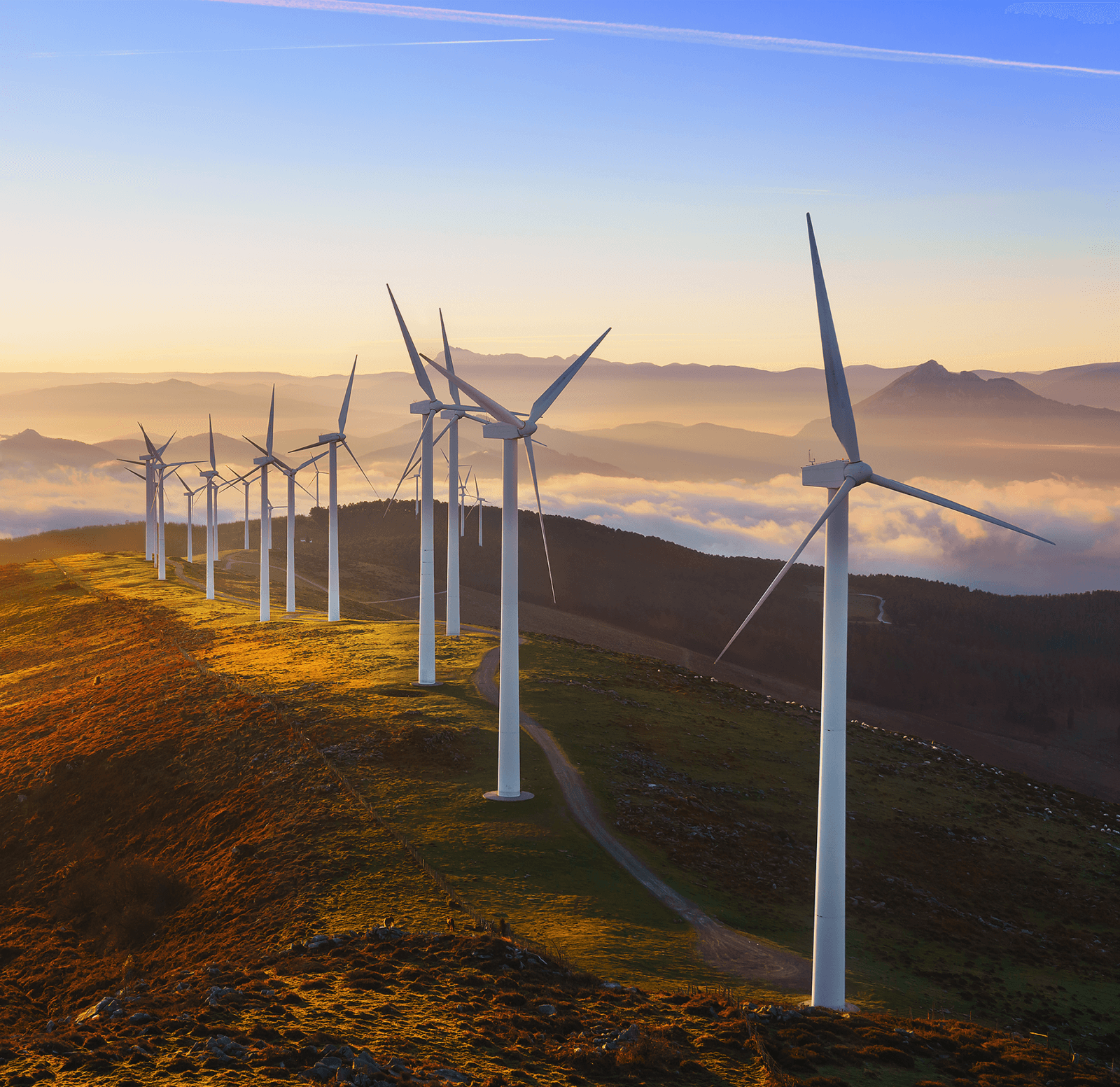 Windmills on a hill