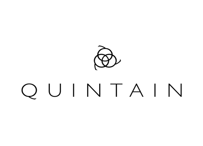 Quintain logo