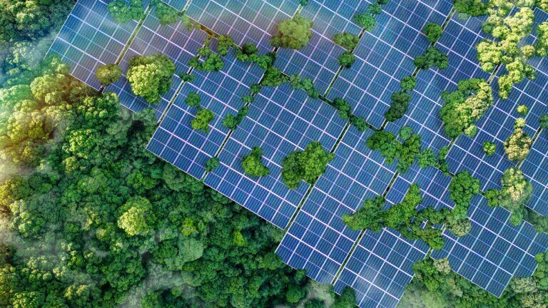 Solar panels with trees image.